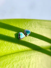 Azure earrings