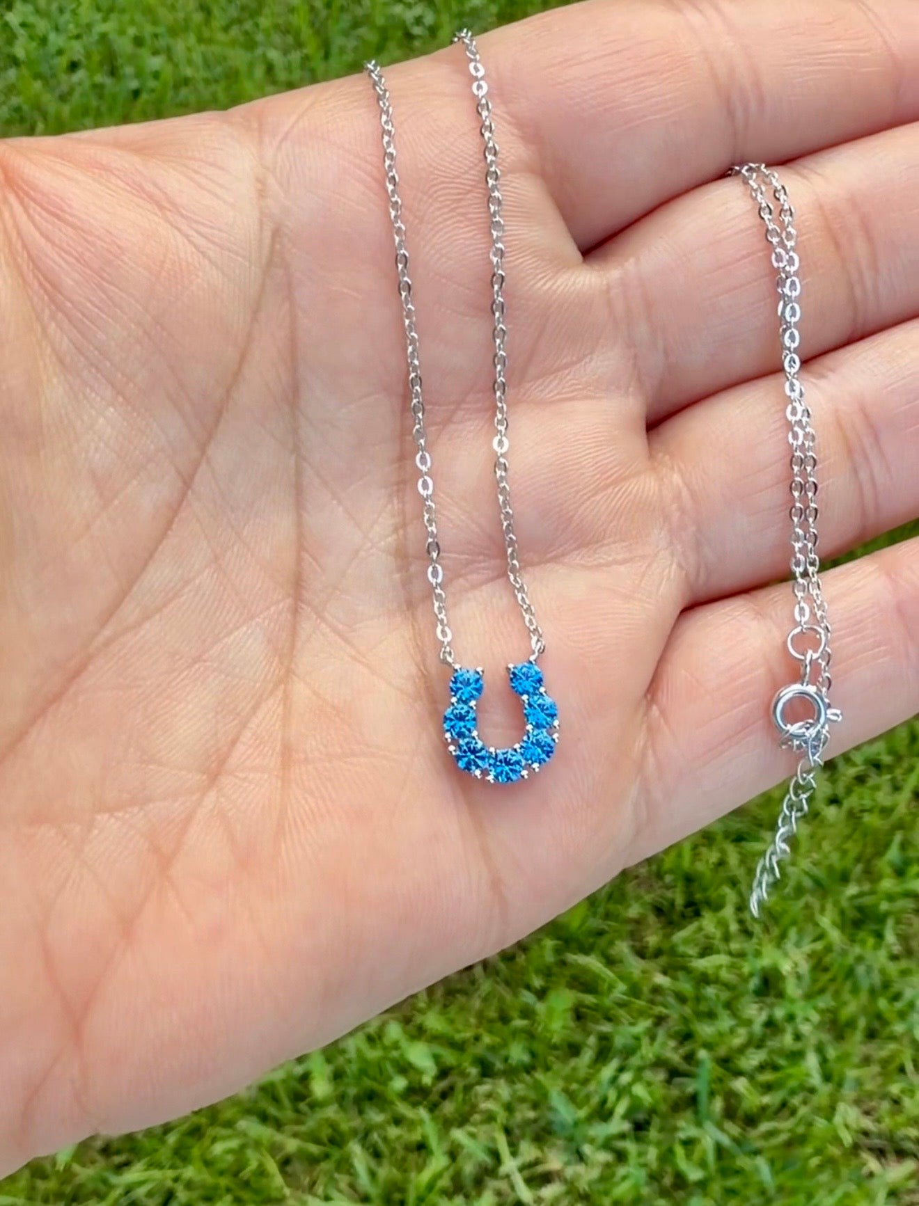 Lis Blue Horseshoe Necklace